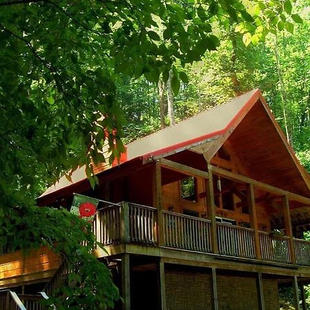 Alpine Joy-Hot Tub, Pond Access ,1089 Of Free Tickets For Each Paid Day, Dollywood And More! Townsend Esterno foto