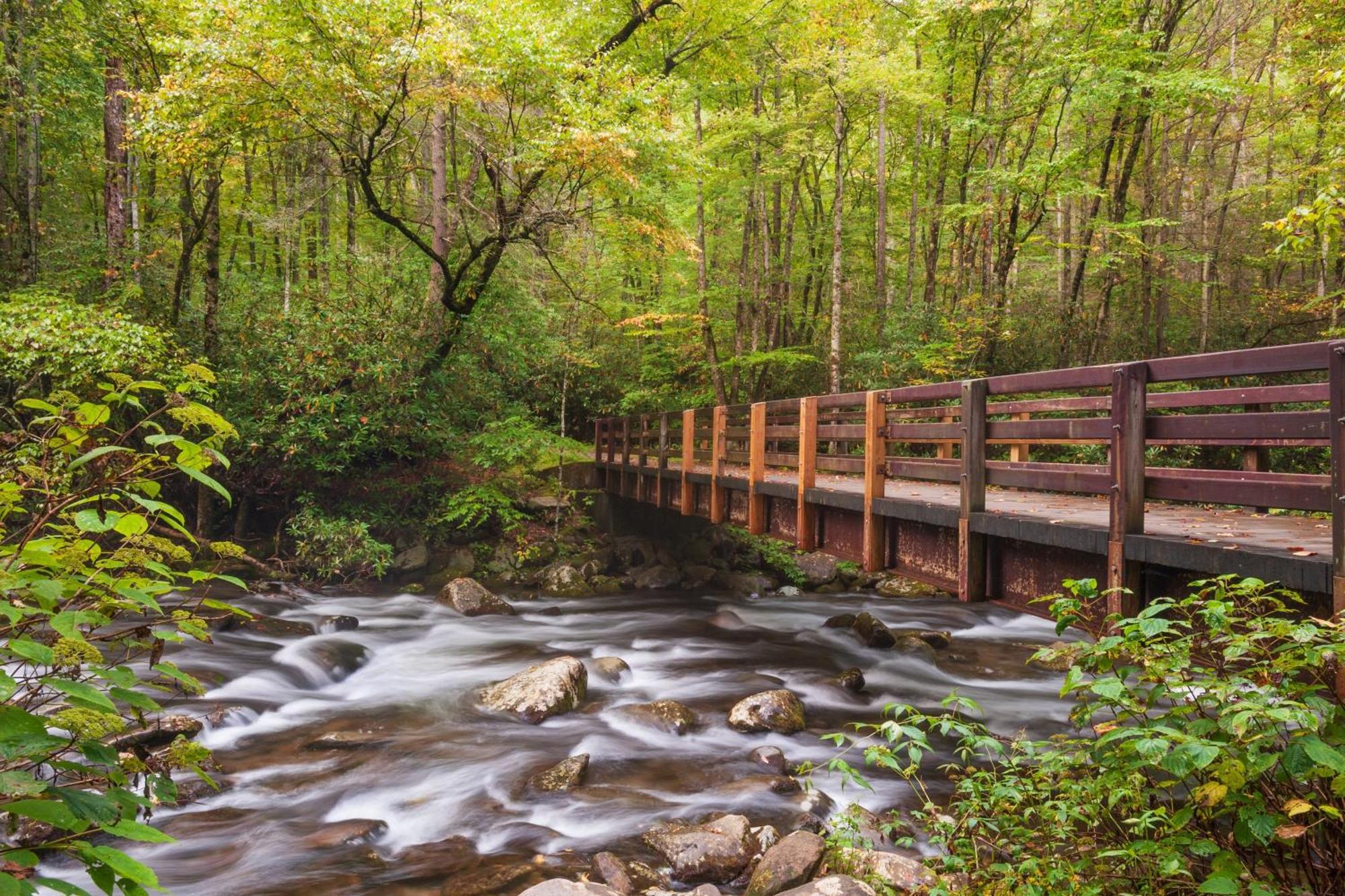 Alpine Joy-Hot Tub, Pond Access ,1089 Of Free Tickets For Each Paid Day, Dollywood And More! Townsend Esterno foto