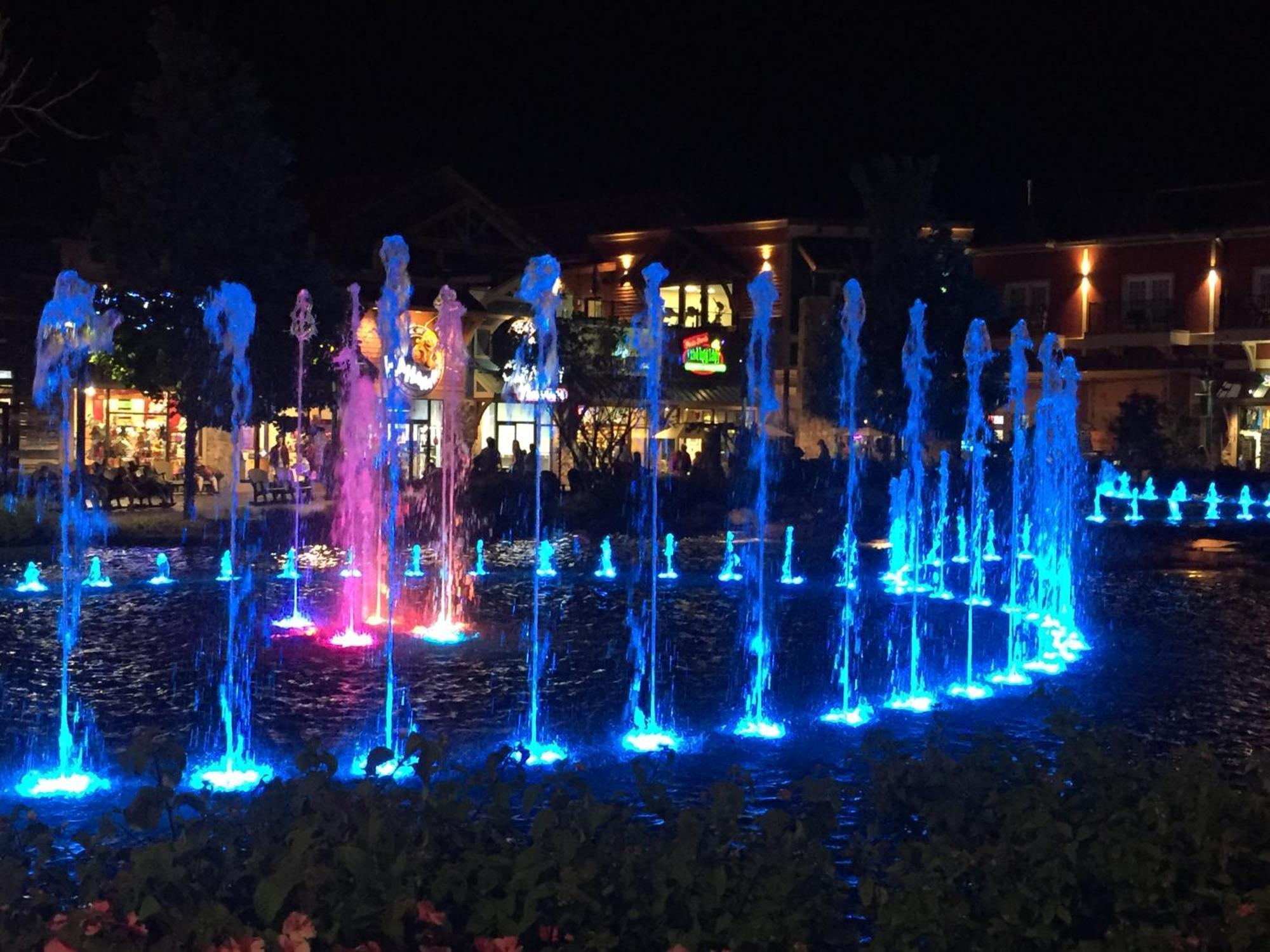 Alpine Joy-Hot Tub, Pond Access ,1089 Of Free Tickets For Each Paid Day, Dollywood And More! Townsend Camera foto