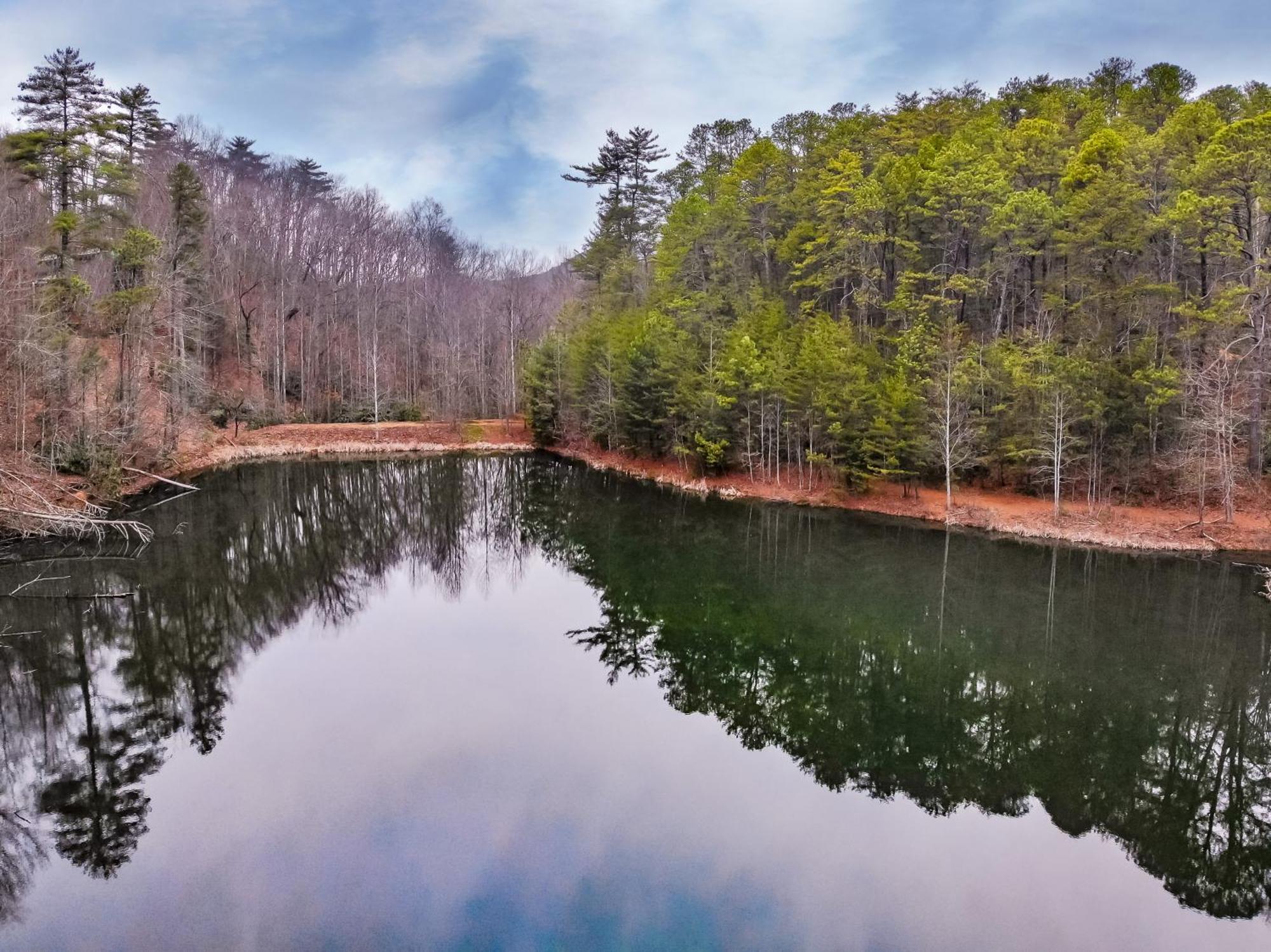 Alpine Joy-Hot Tub, Pond Access ,1089 Of Free Tickets For Each Paid Day, Dollywood And More! Townsend Camera foto