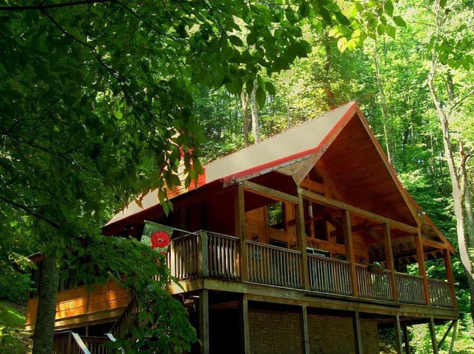 Alpine Joy-Hot Tub, Pond Access ,1089 Of Free Tickets For Each Paid Day, Dollywood And More! Townsend Esterno foto