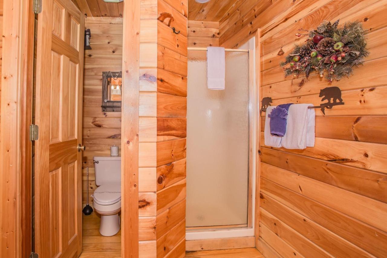 Alpine Joy-Hot Tub, Pond Access ,1089 Of Free Tickets For Each Paid Day, Dollywood And More! Townsend Esterno foto