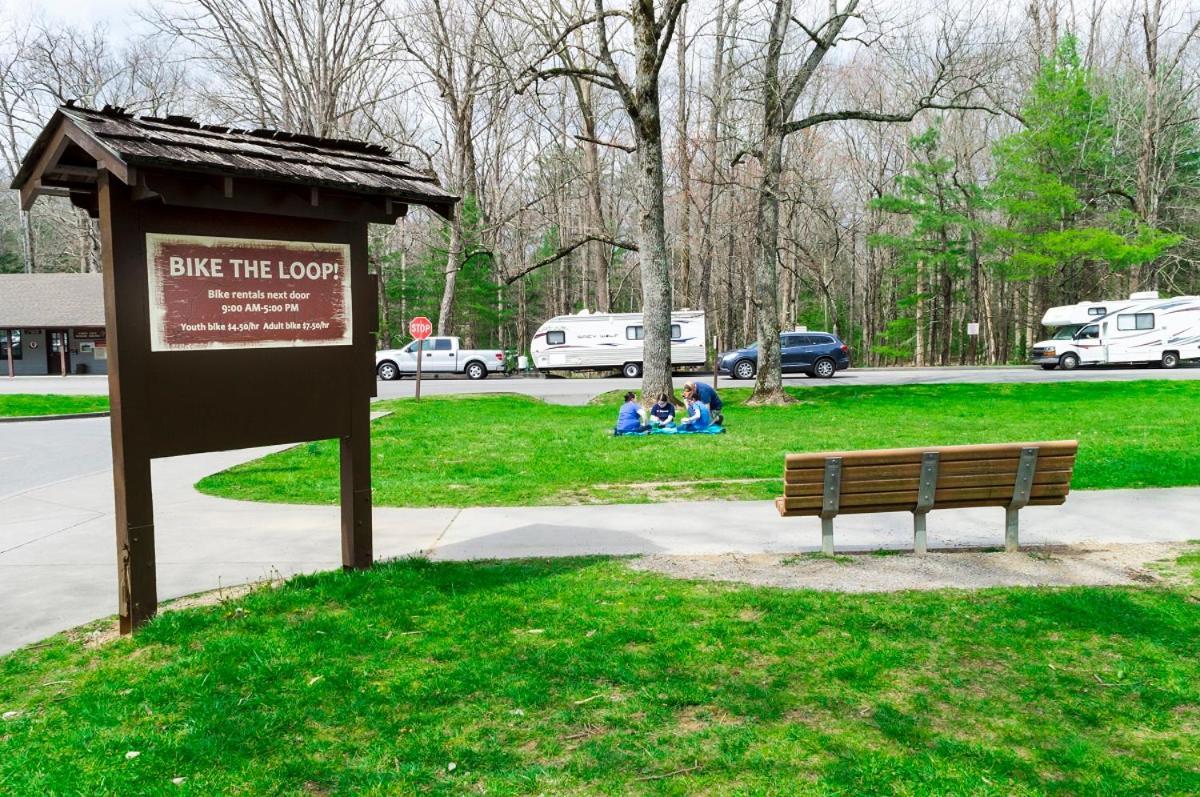 Alpine Joy-Hot Tub, Pond Access ,1089 Of Free Tickets For Each Paid Day, Dollywood And More! Townsend Esterno foto